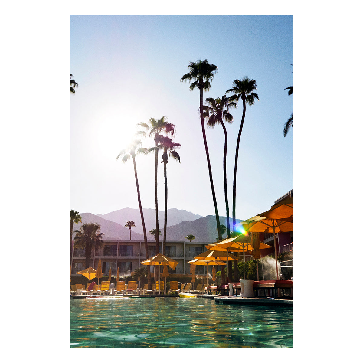 Palms and Pools