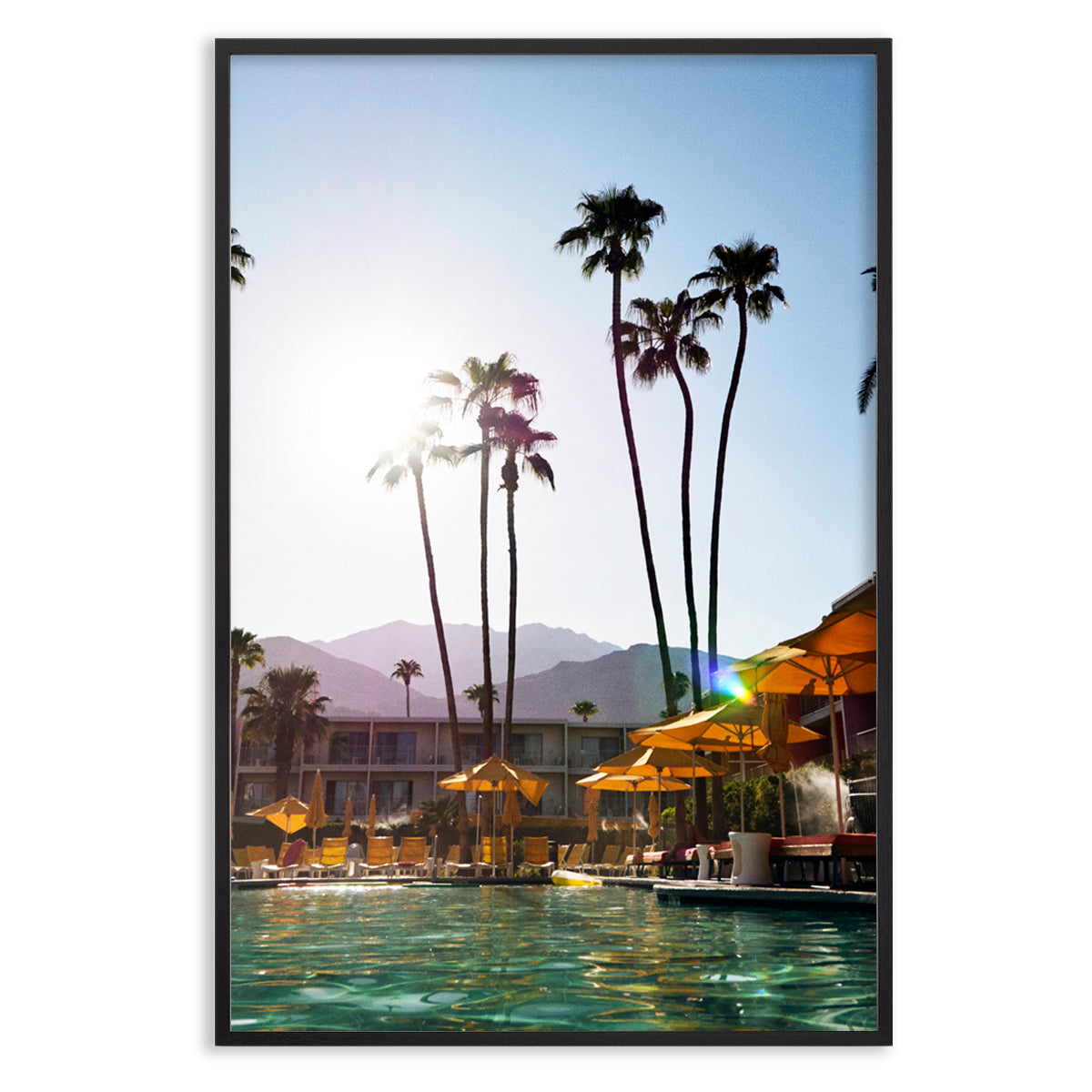 Palms and Pools