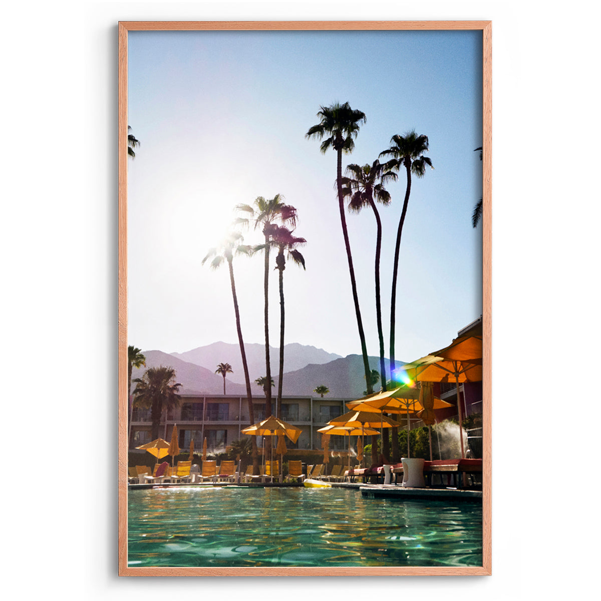 Palms and Pools