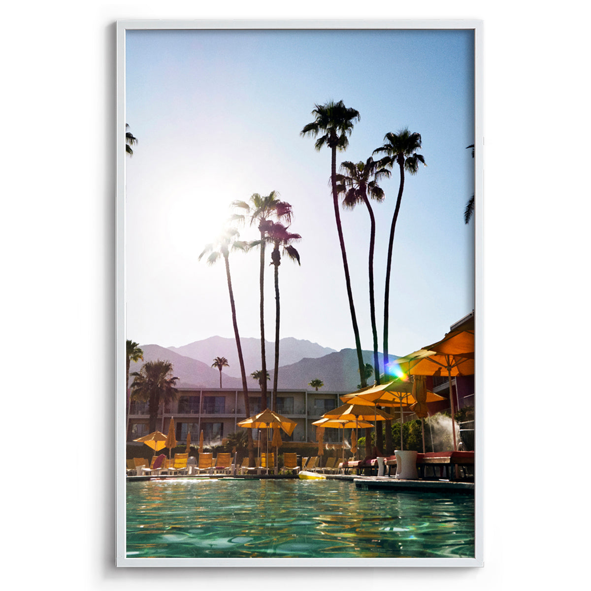 Palms and Pools