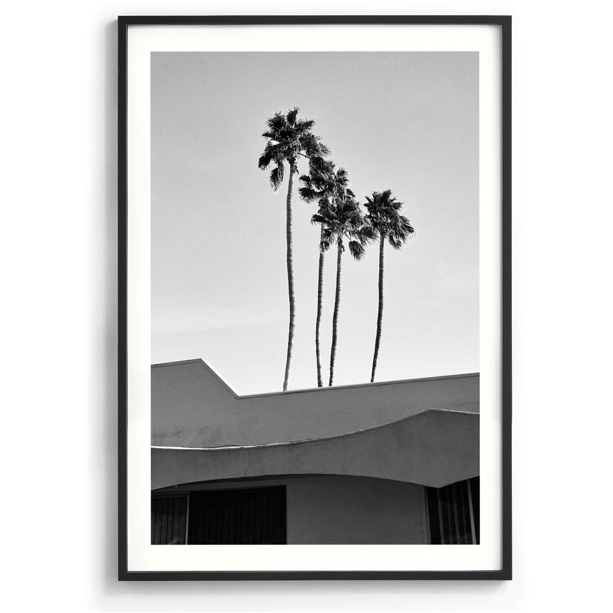 Palms