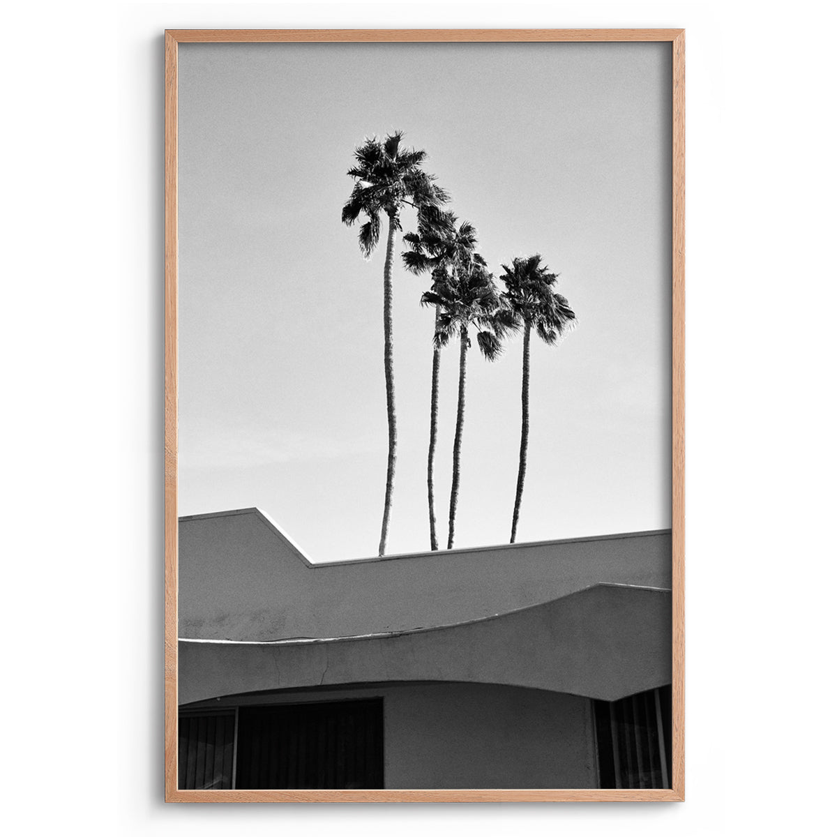 Palms