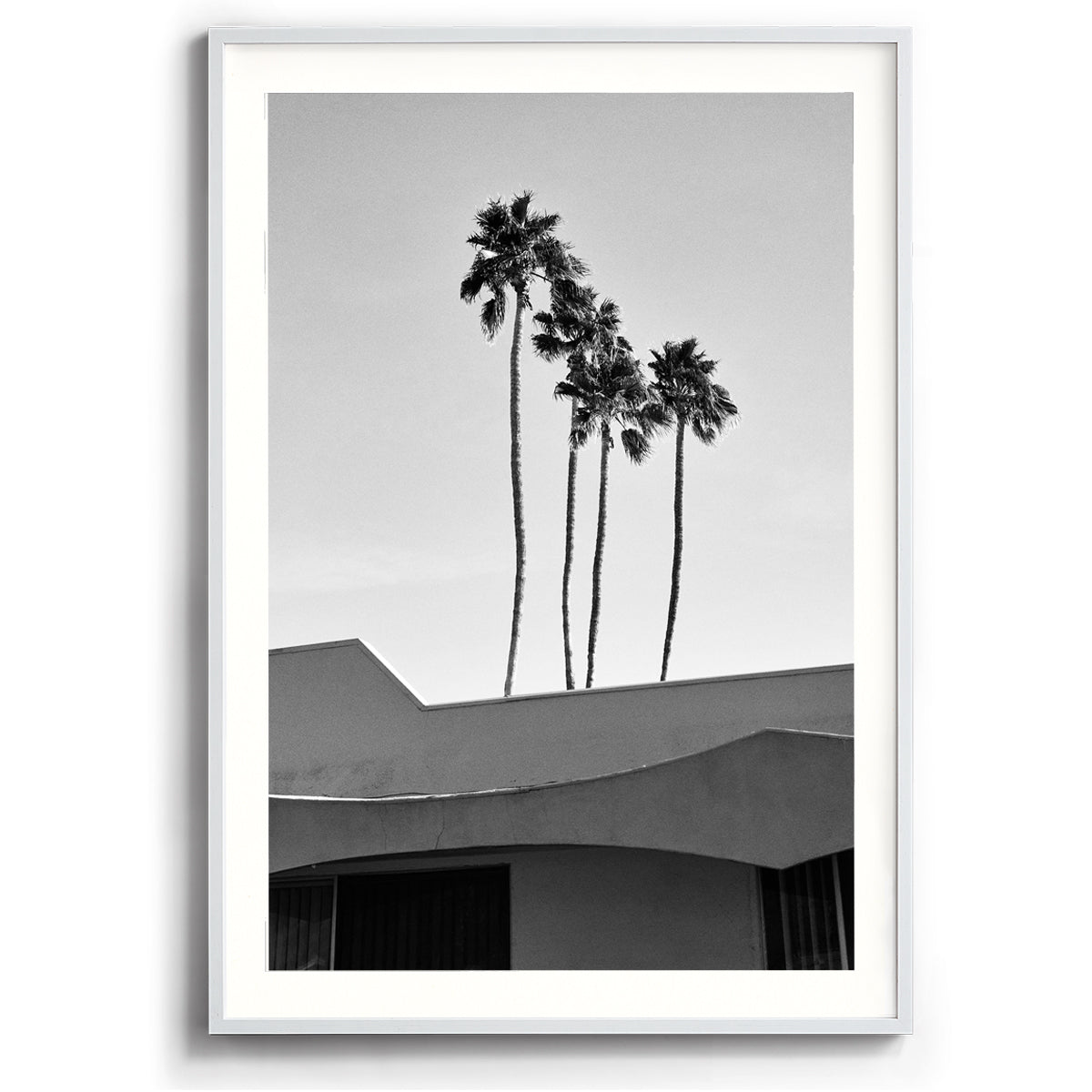 Palms