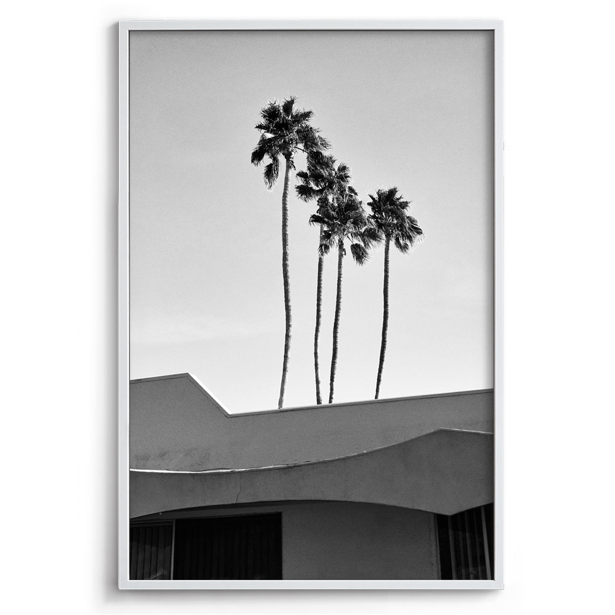 Palms