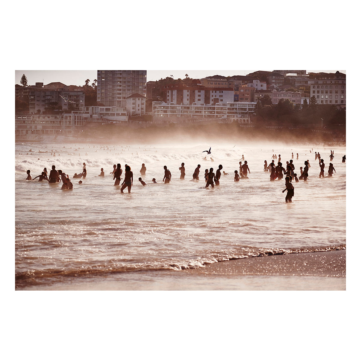 Bondi Peak Hour