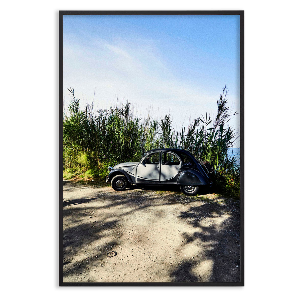 Citroen in the Grass