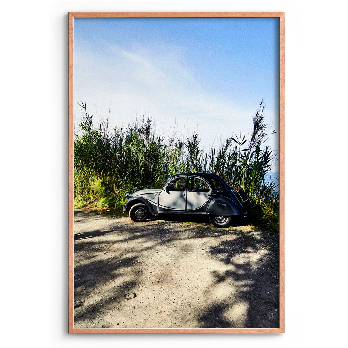Citroen in the Grass