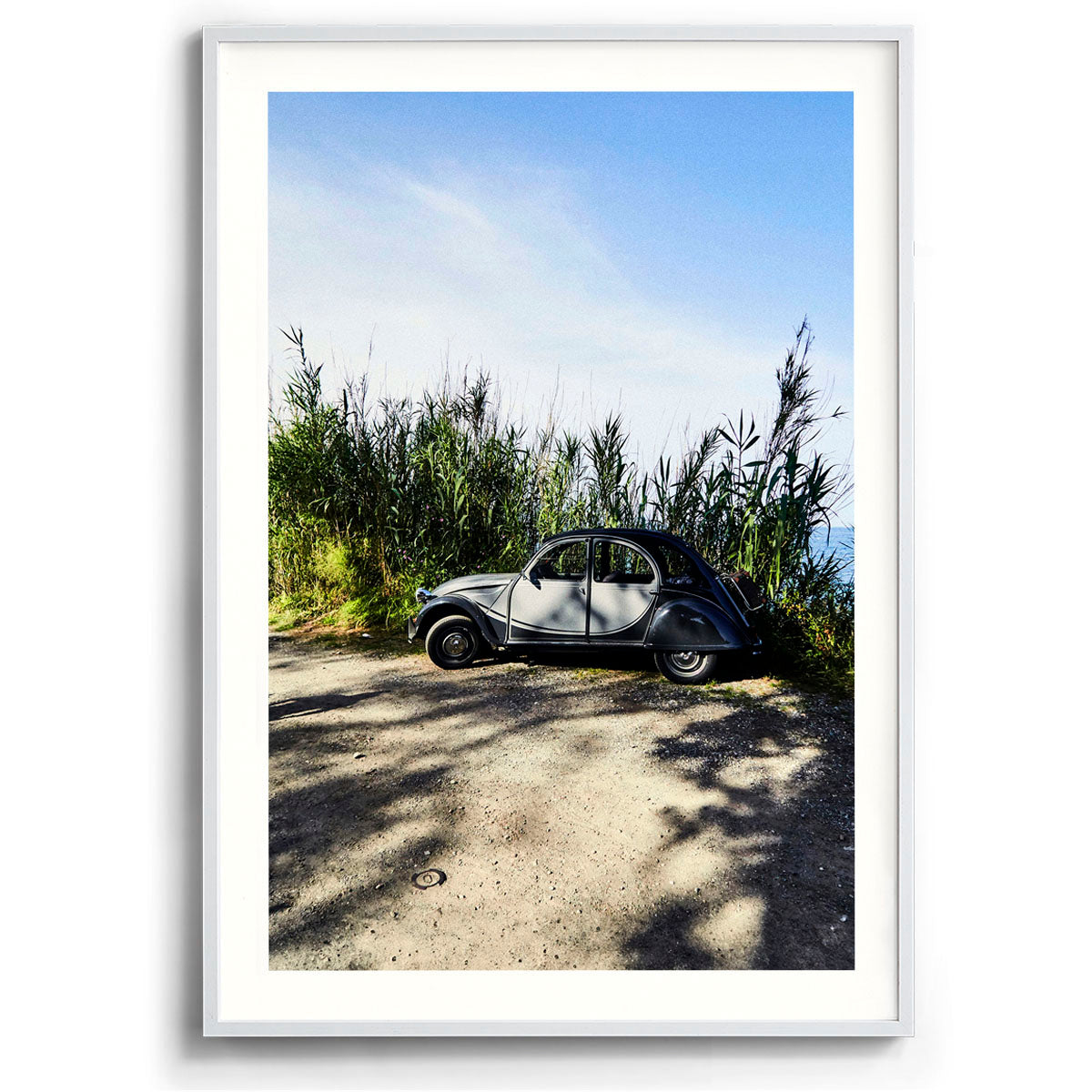 Citroen in the Grass