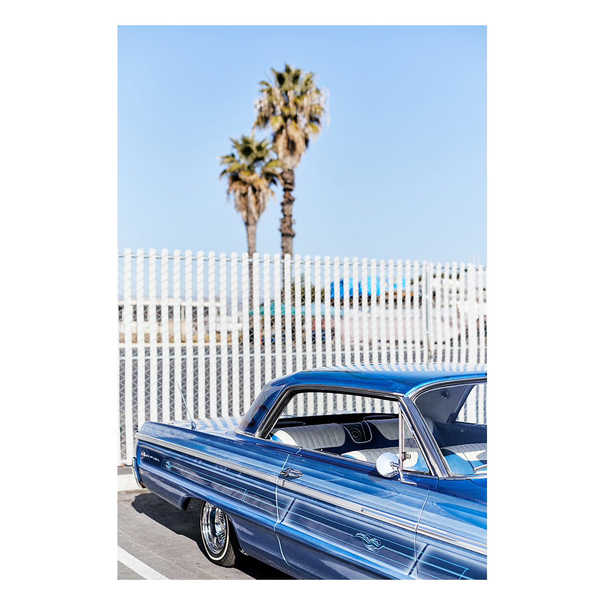 Palms and Pinstripes