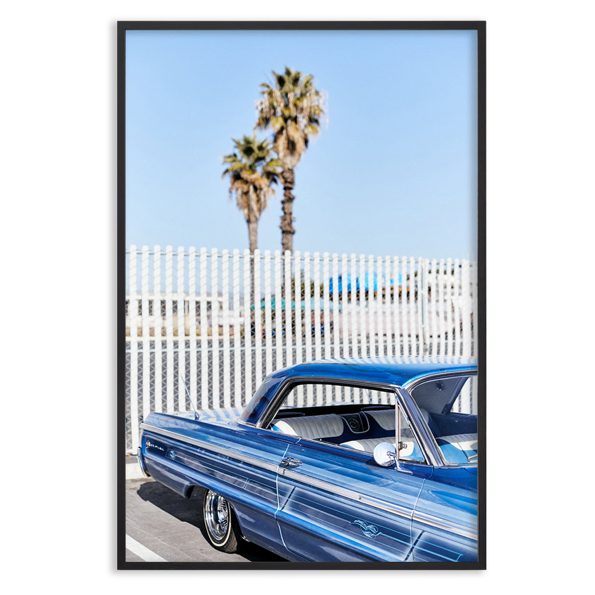 Palms and Pinstripes