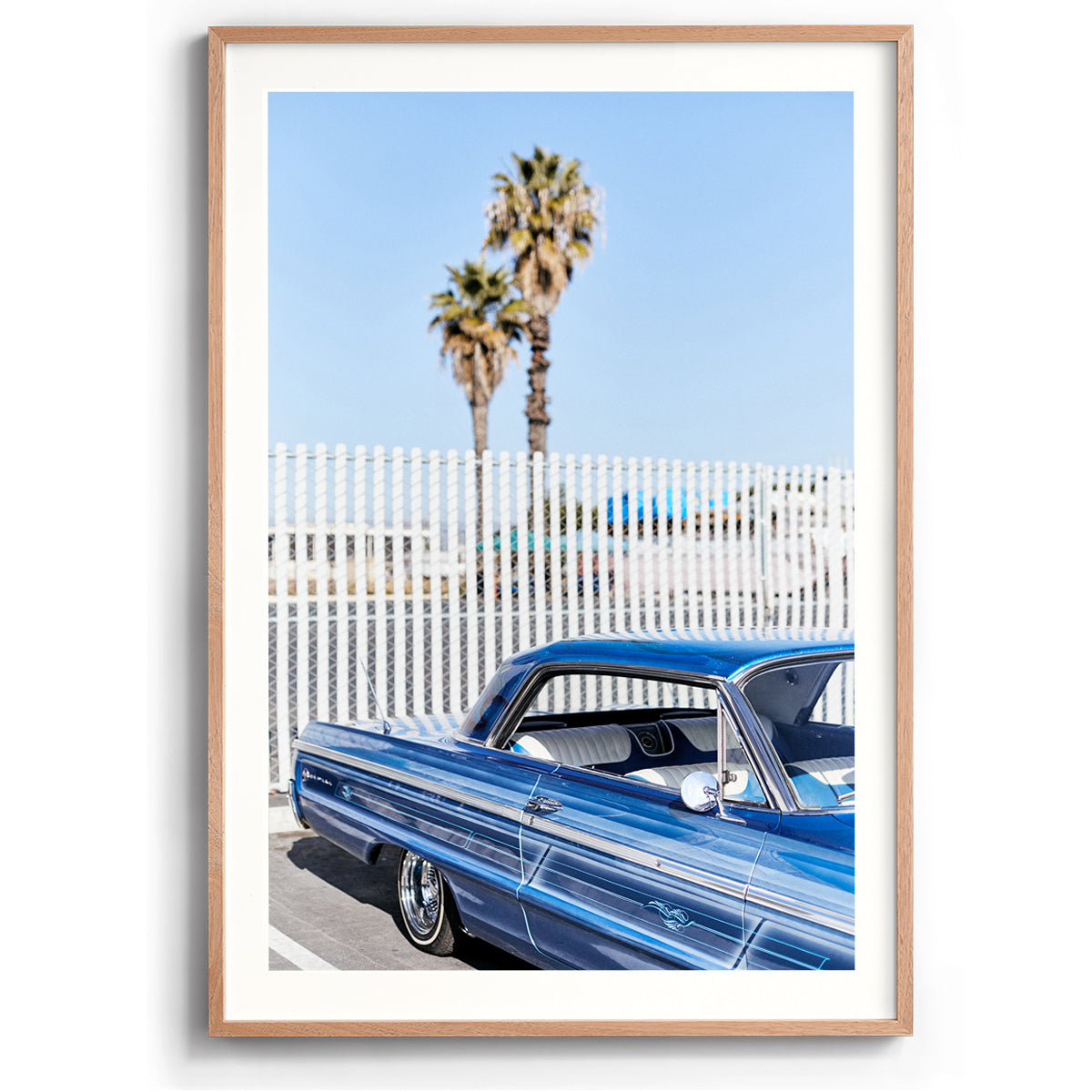 Palms and Pinstripes