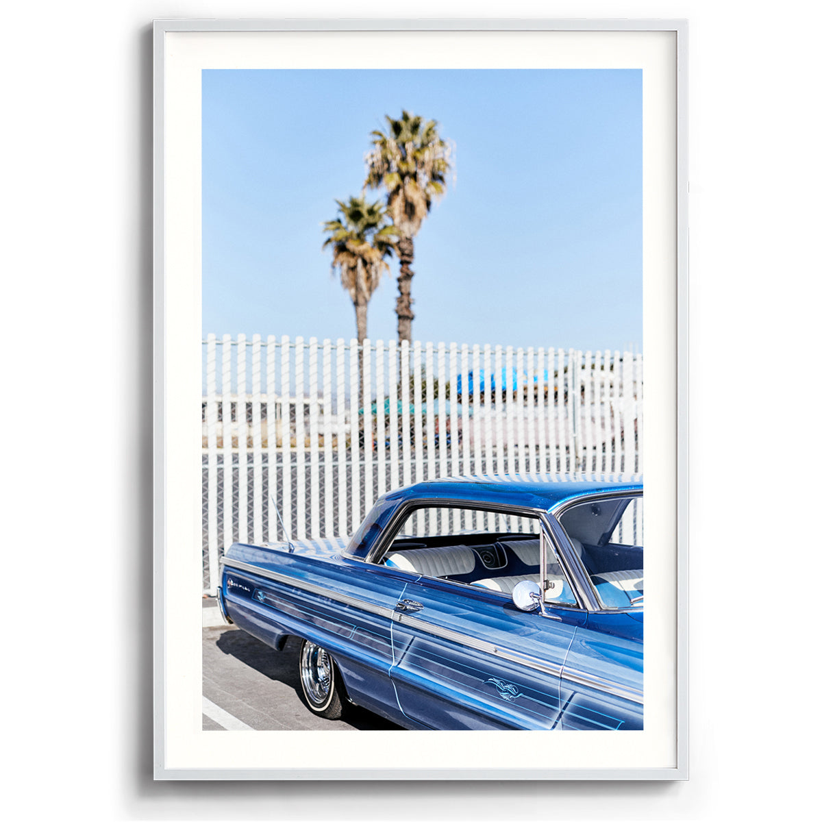 Palms and Pinstripes