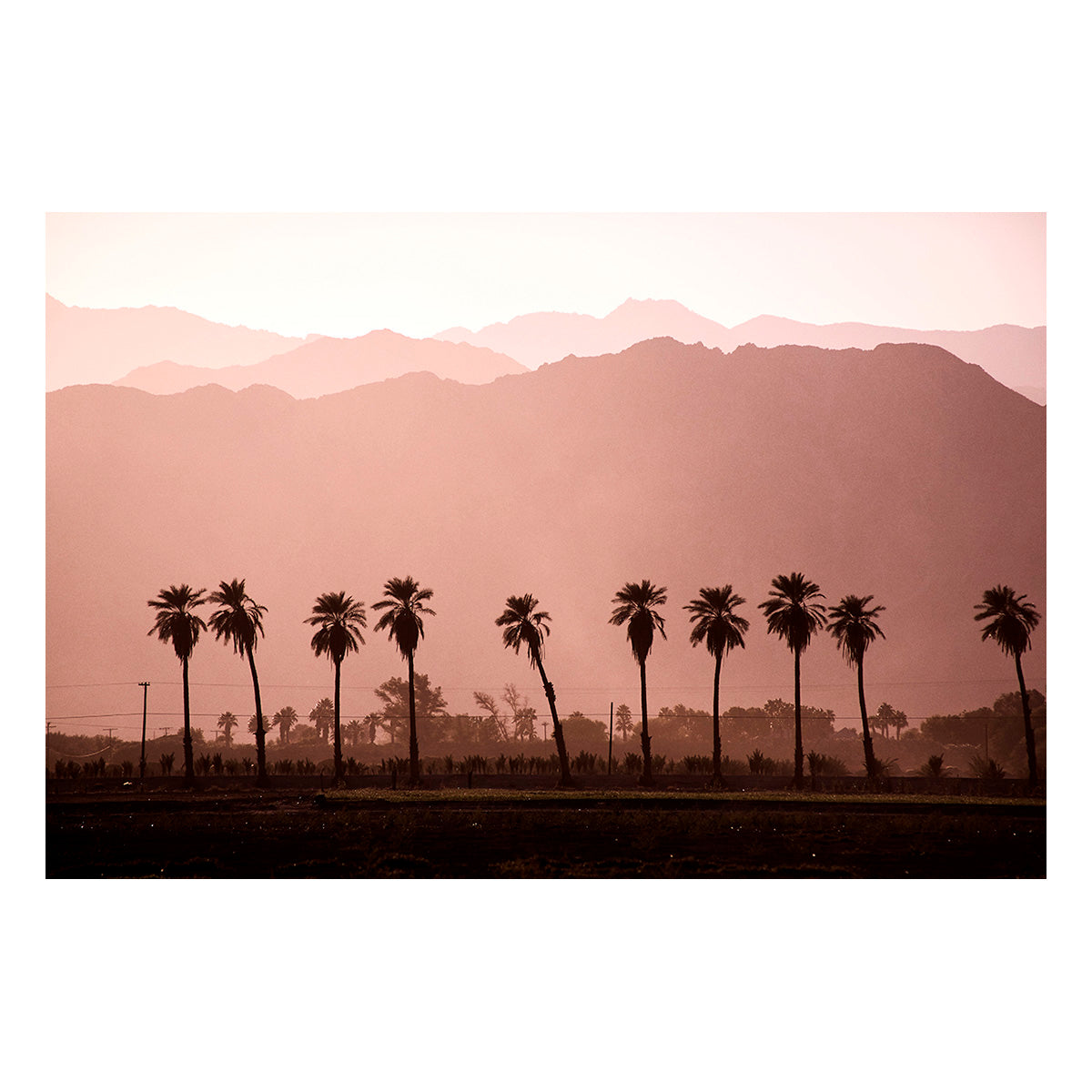 Coachella