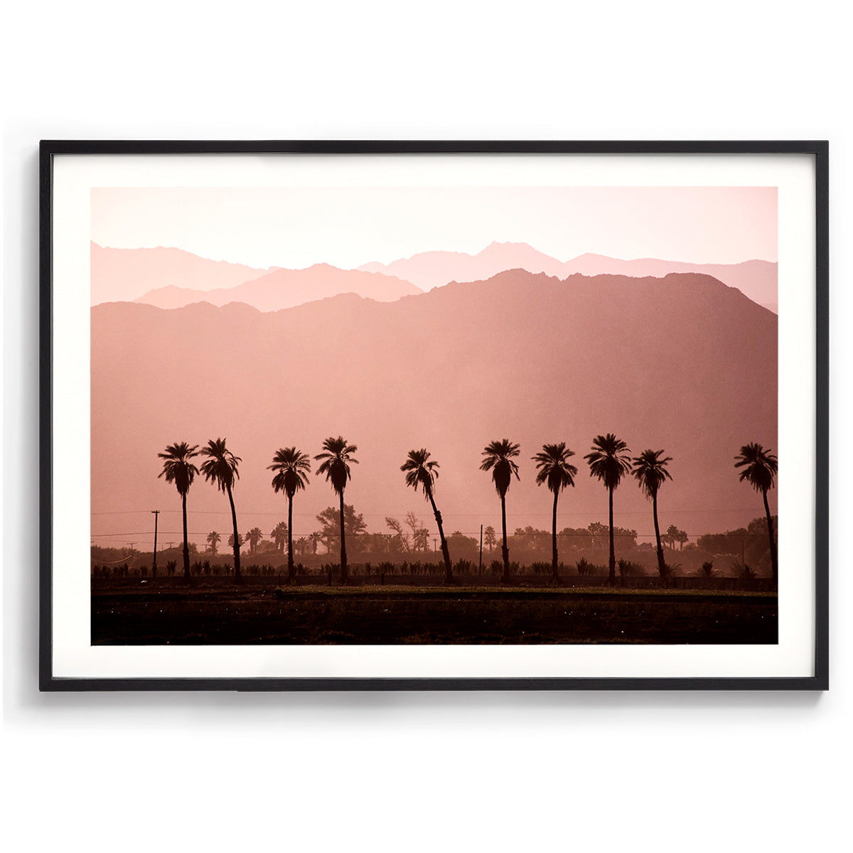 Coachella