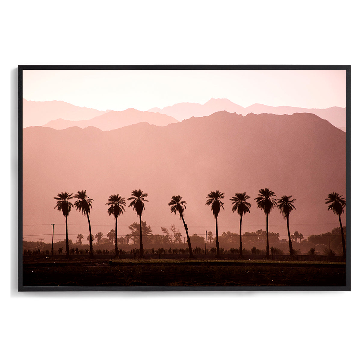 Coachella
