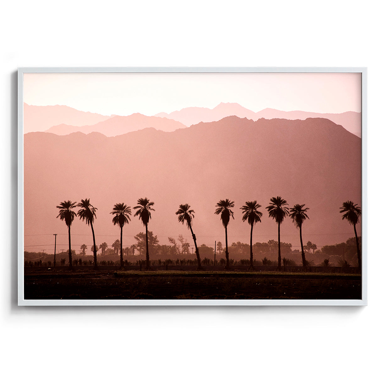 Coachella