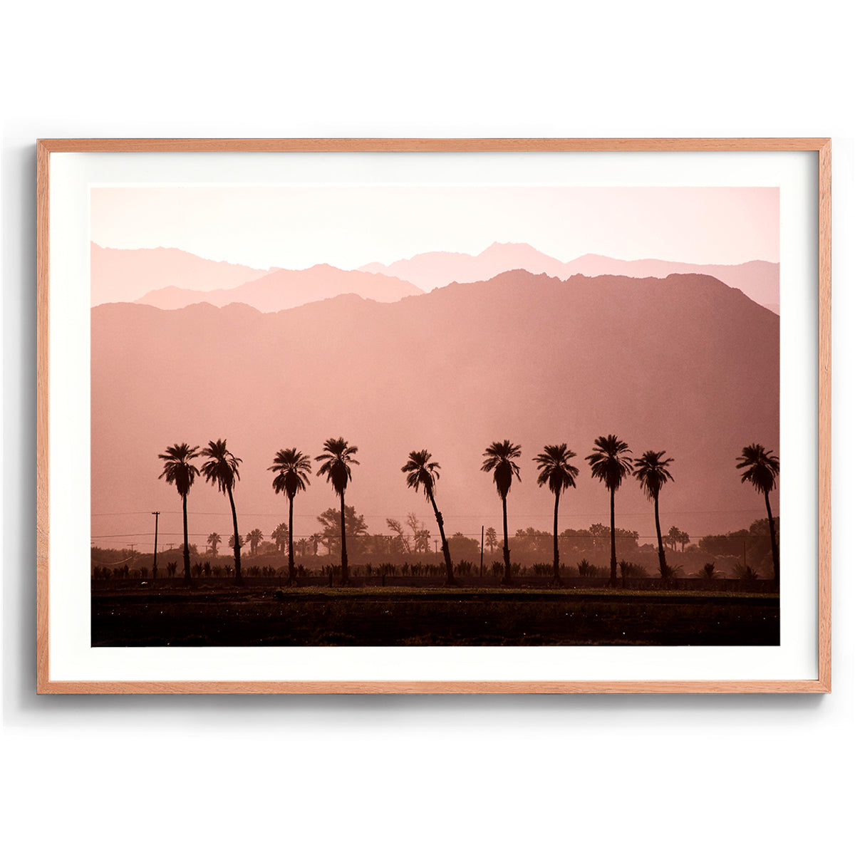 Coachella