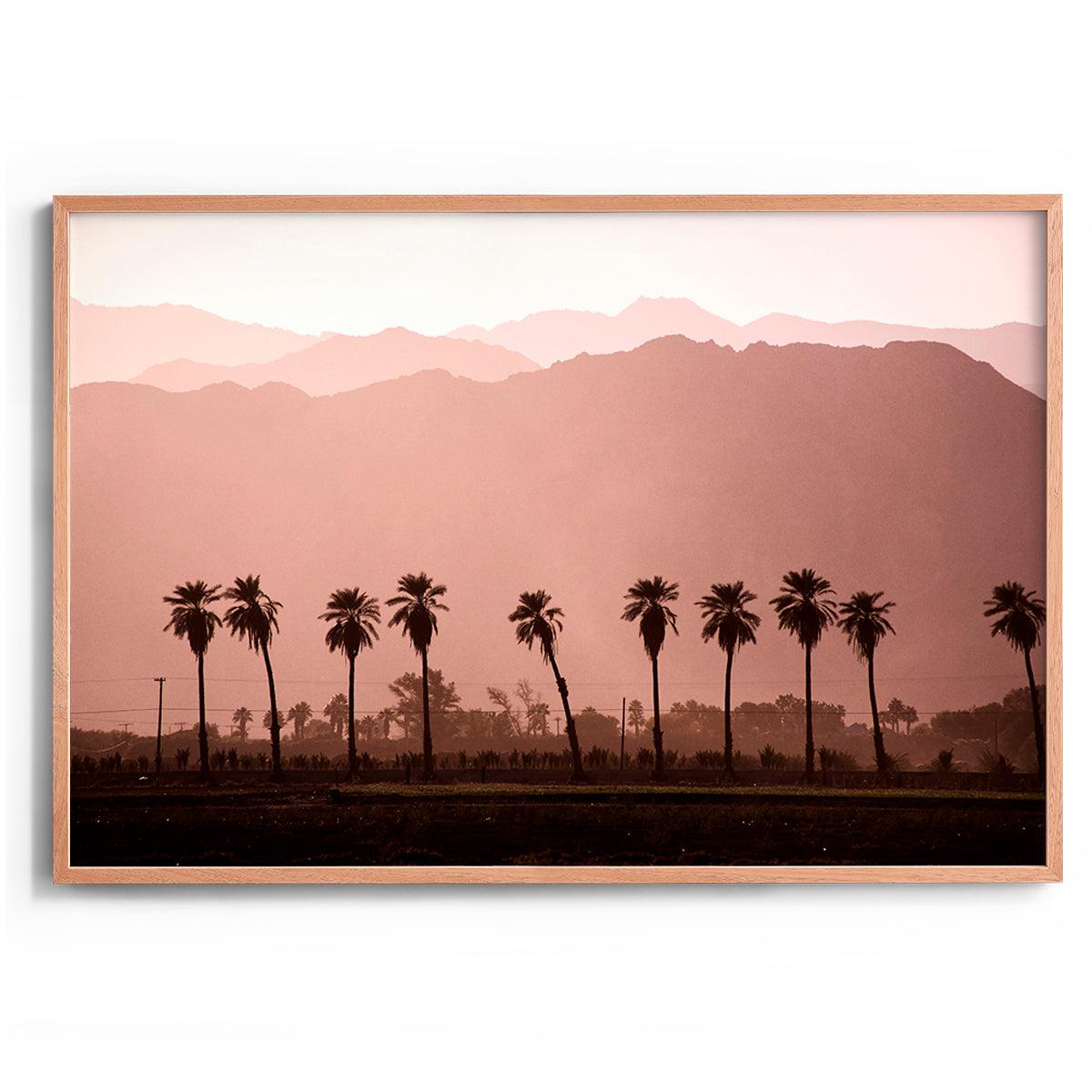 Coachella