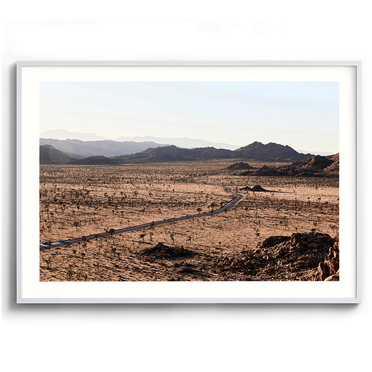 Joshua Tree National Park
