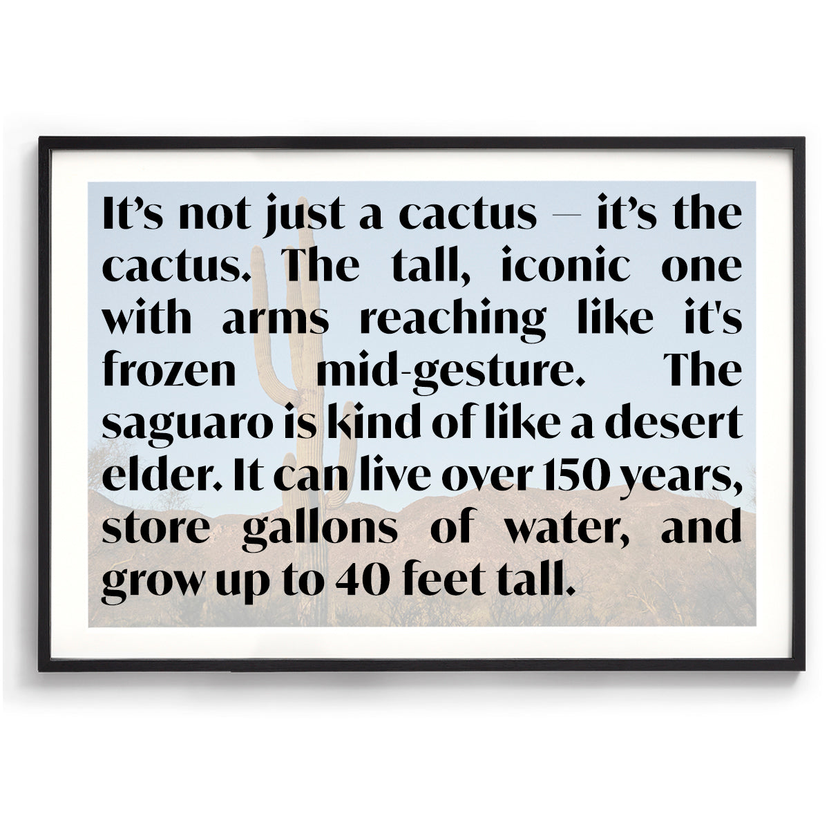 Moon Meets Cactus