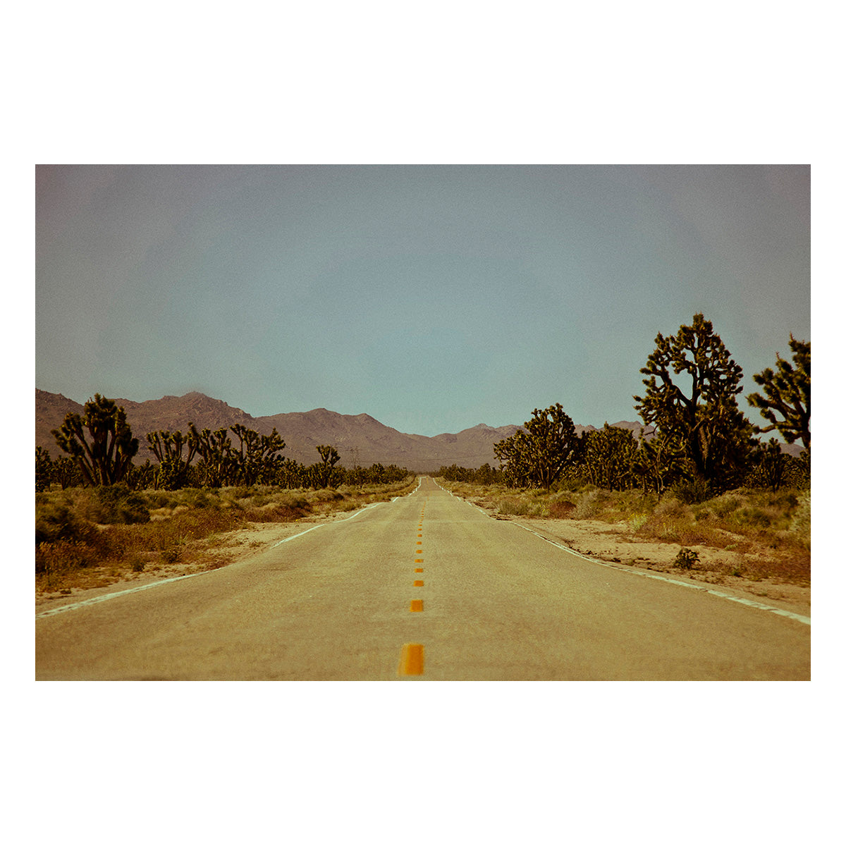 Old Vegas Highway