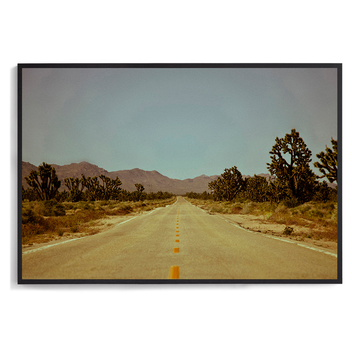 Old Vegas Highway