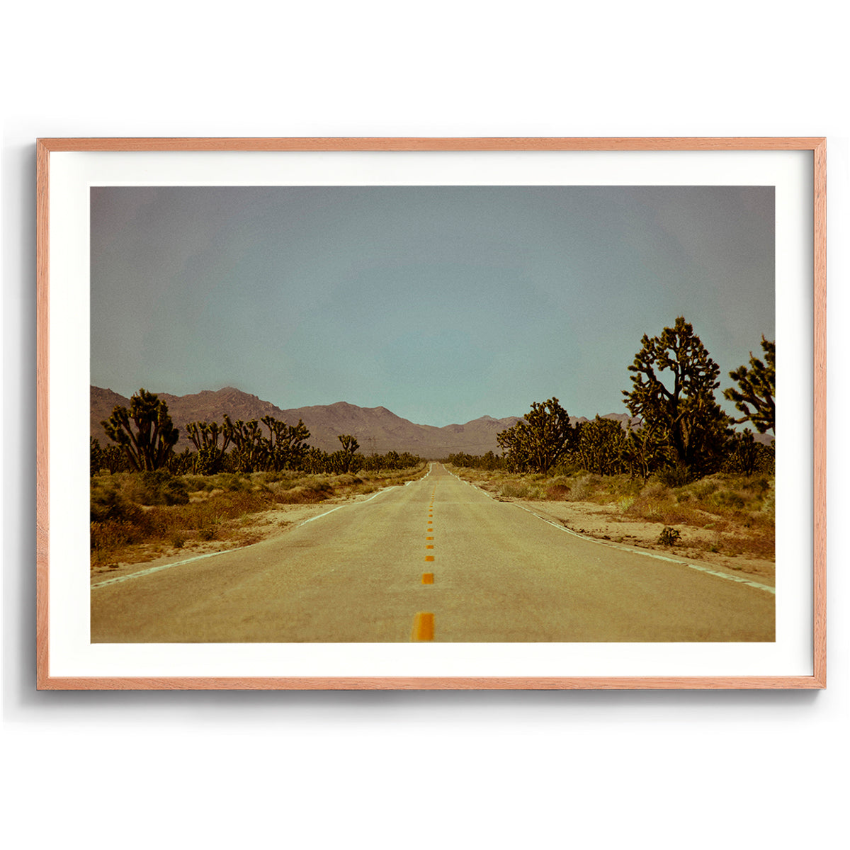 Old Vegas Highway