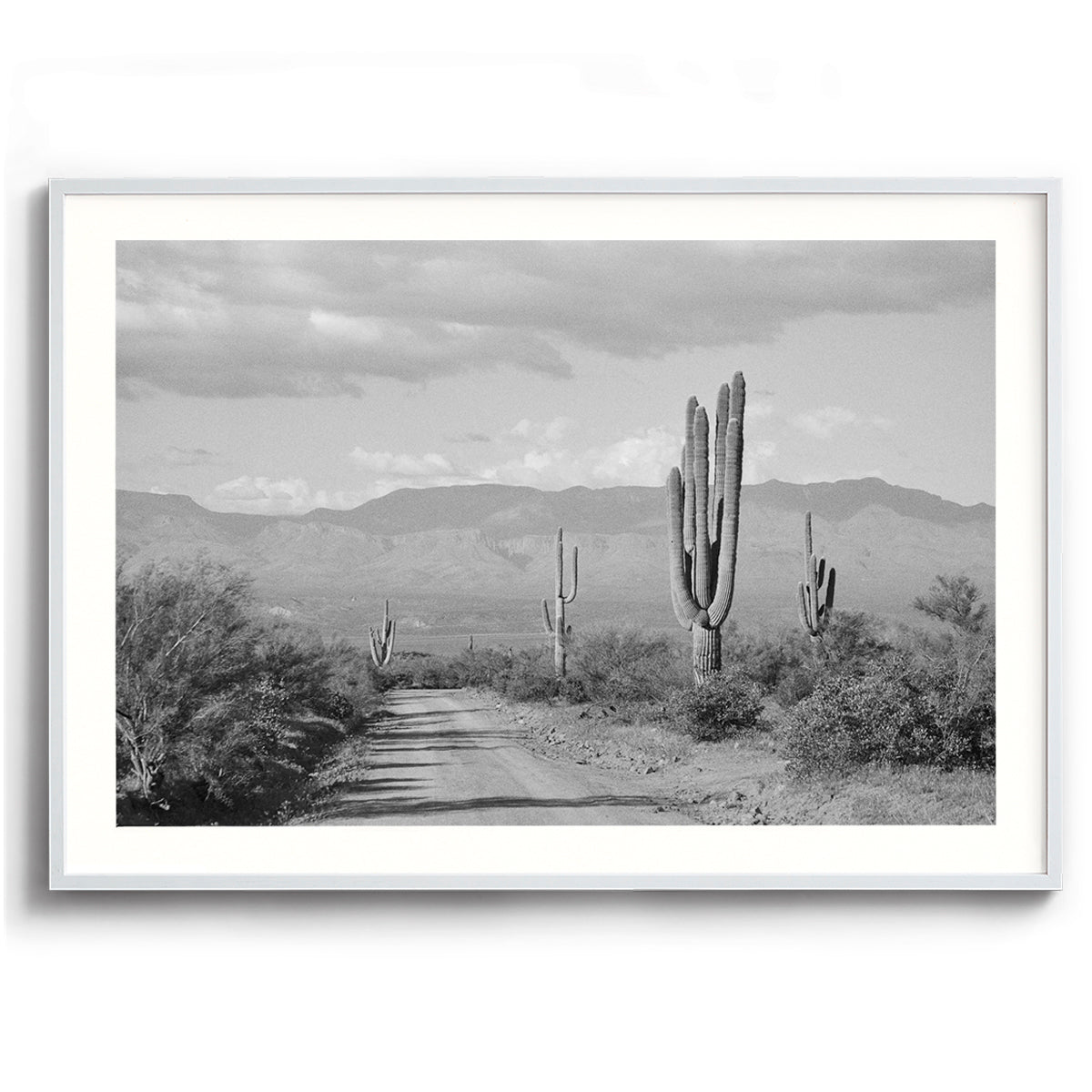 Same View In Every Direction