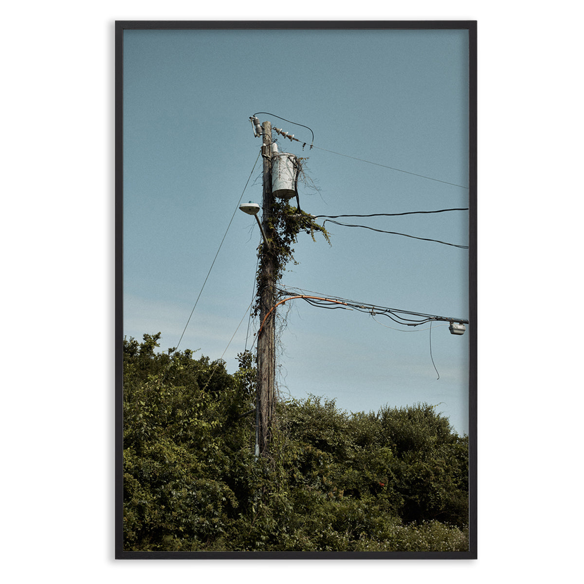 Electric Vine