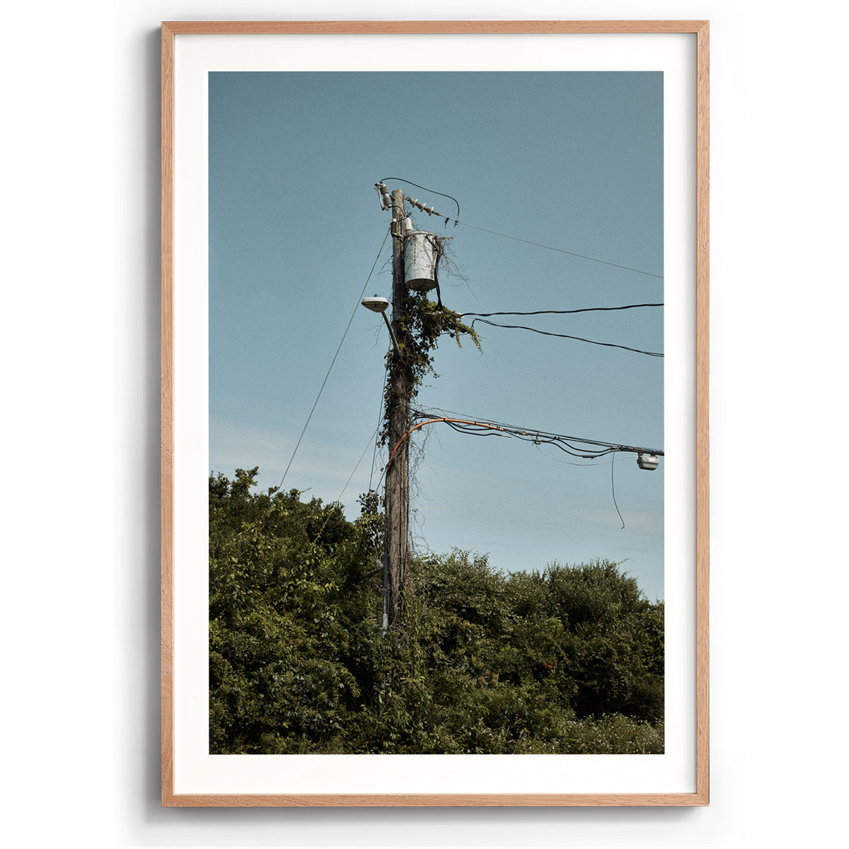 Electric Vine