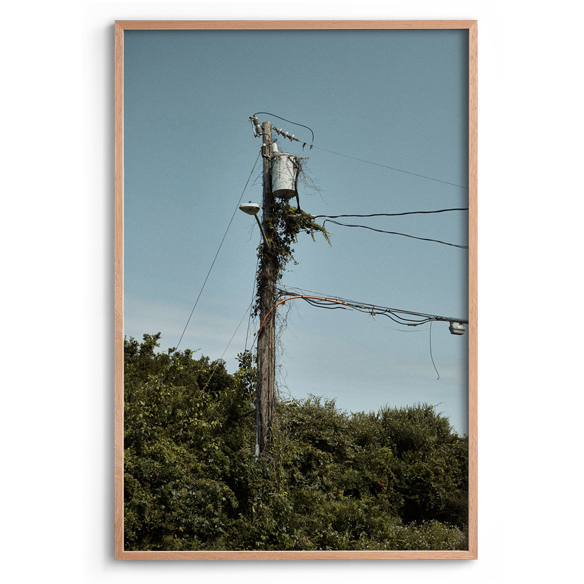 Electric Vine