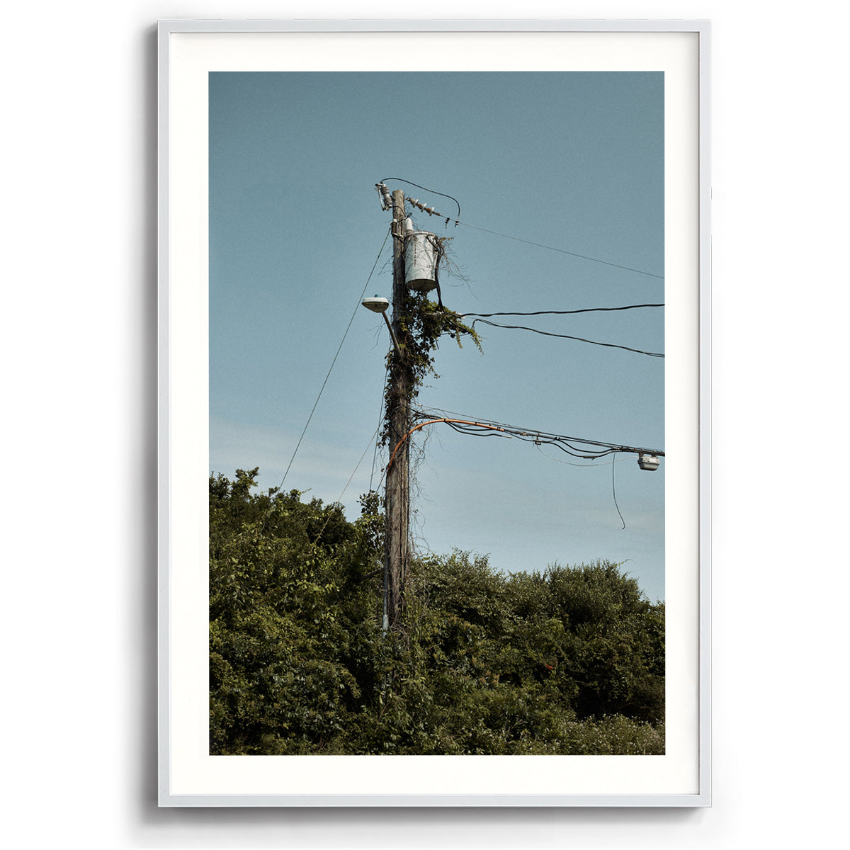 Electric Vine