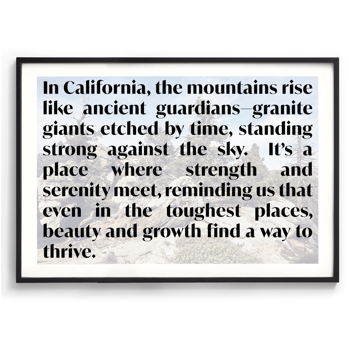 Idyllwild Pines