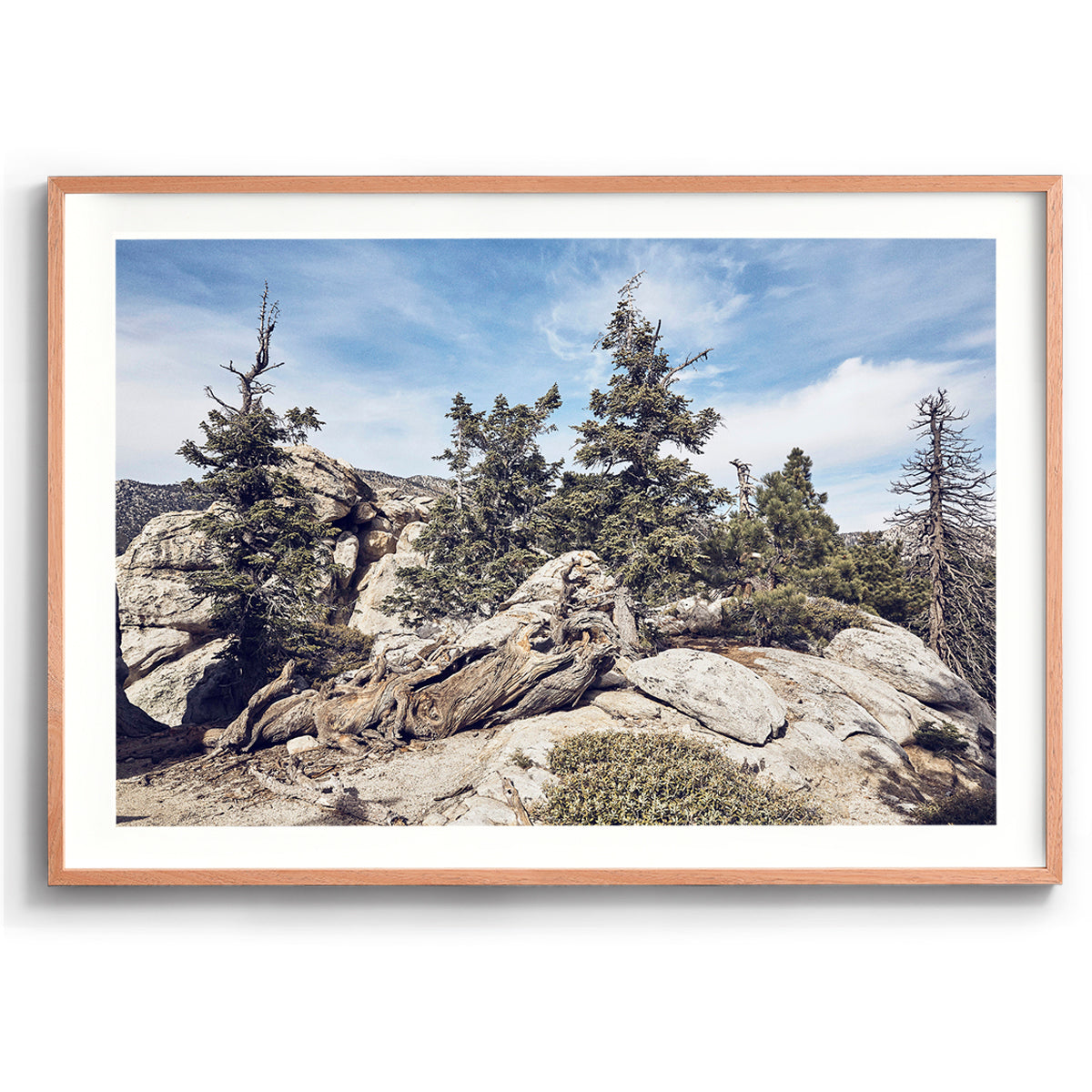 Idyllwild Pines