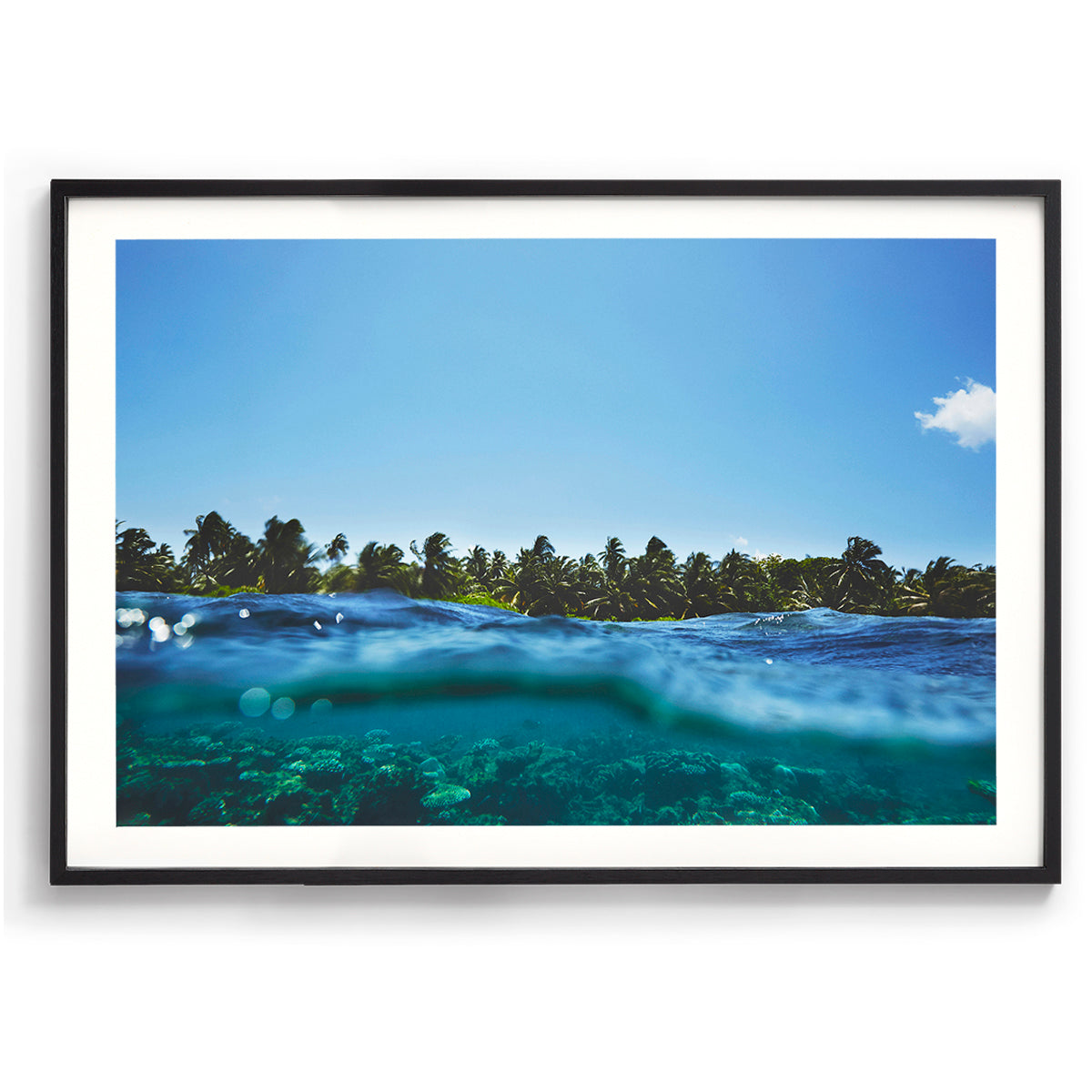 Maldivian Reef