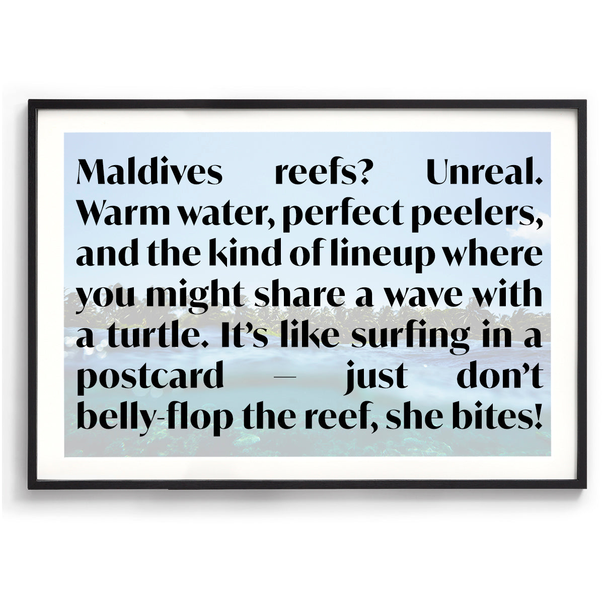 Maldivian Reef