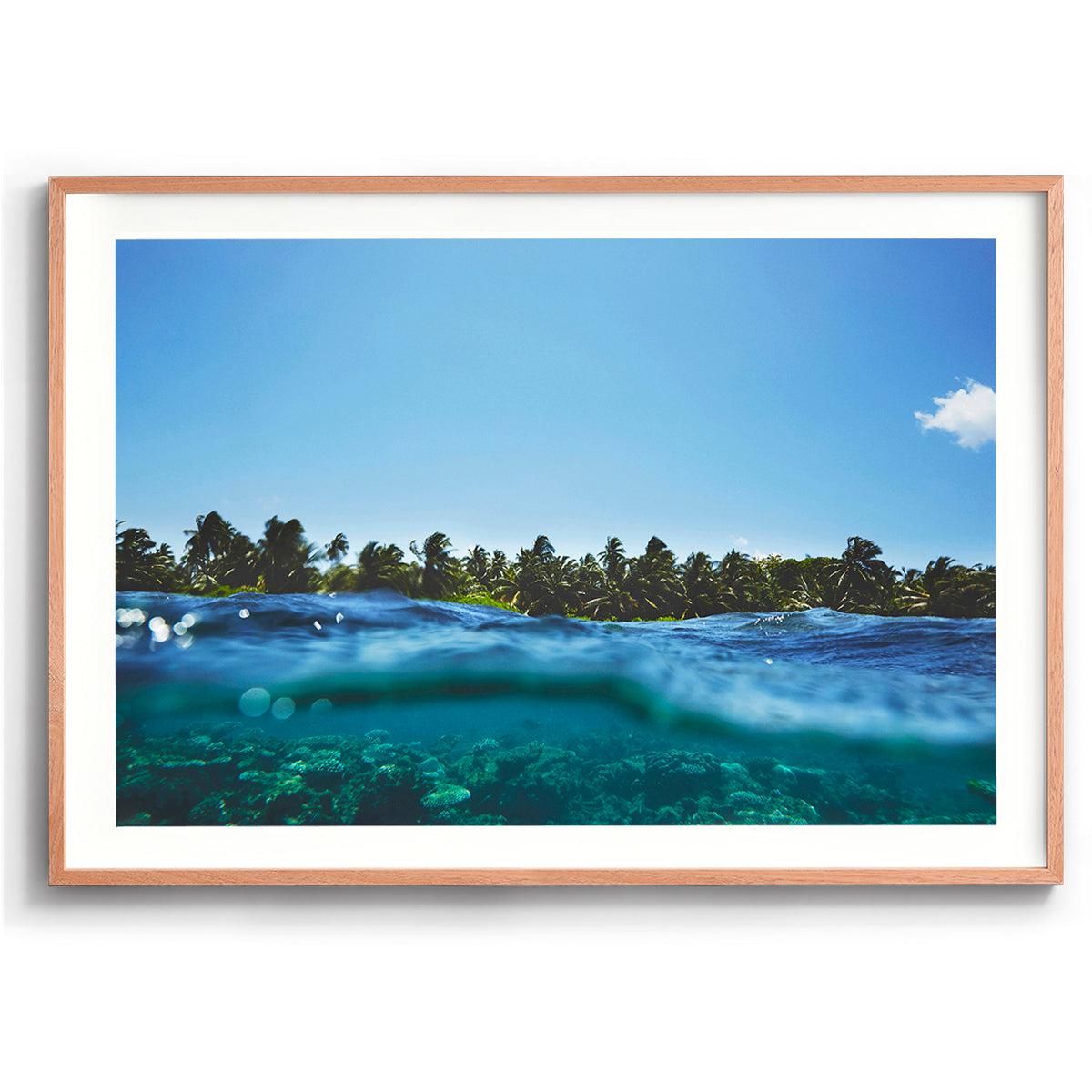 Maldivian Reef
