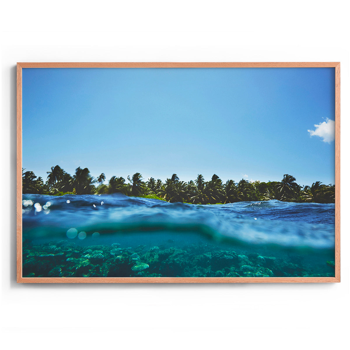 Maldivian Reef