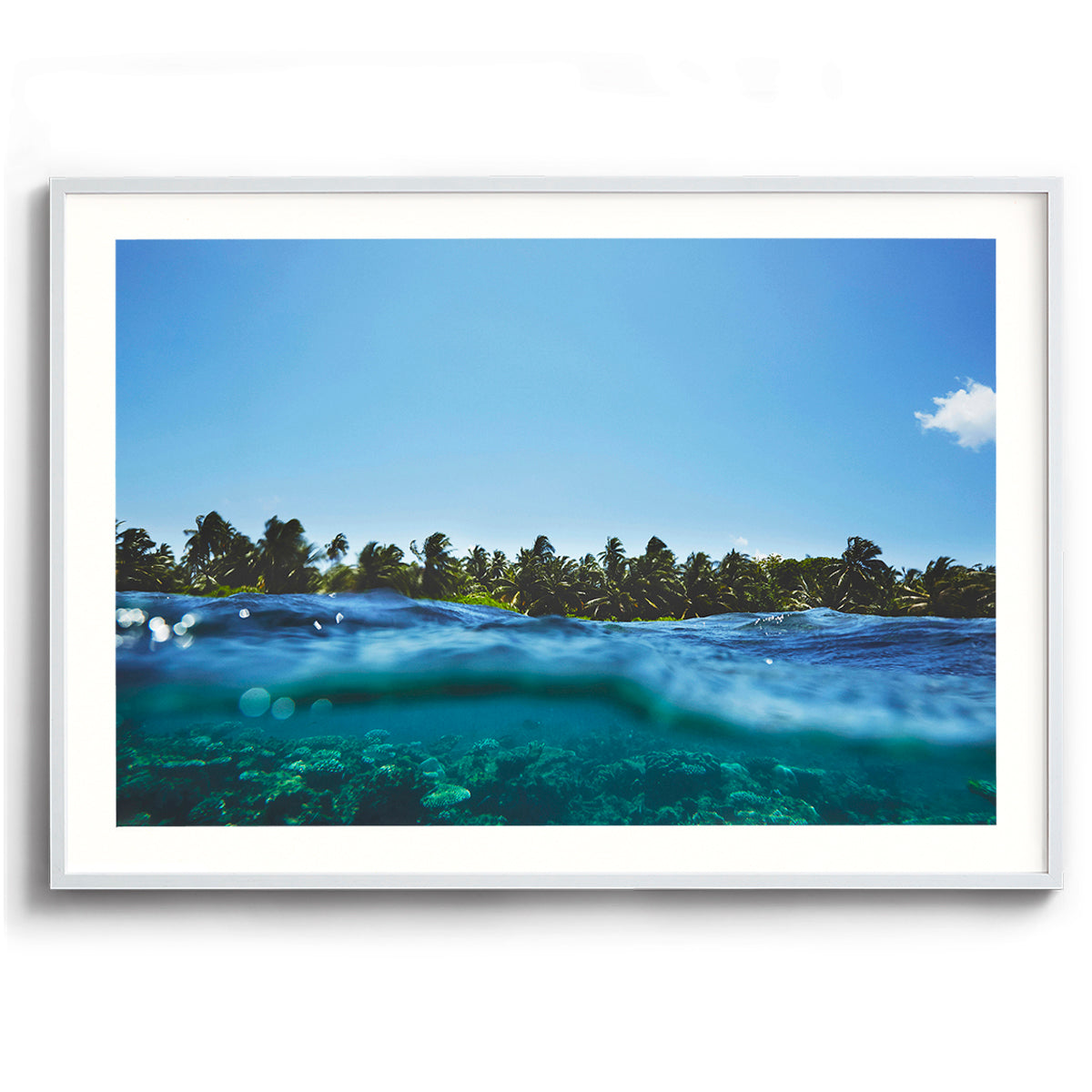 Maldivian Reef