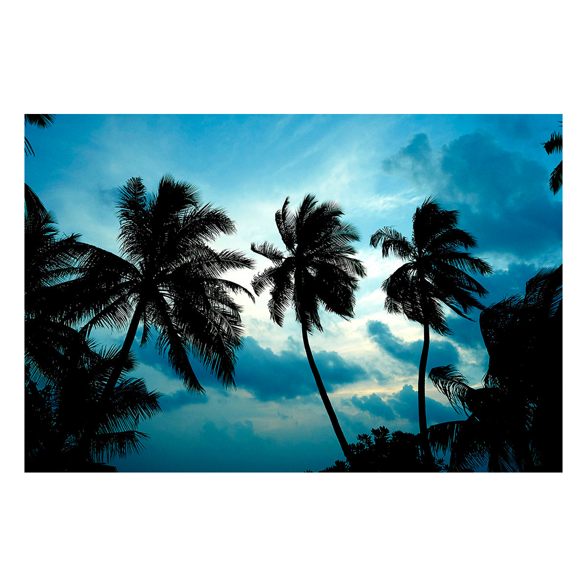 Maldive Sunset