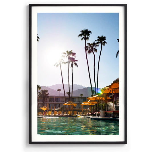 Palms and Pools