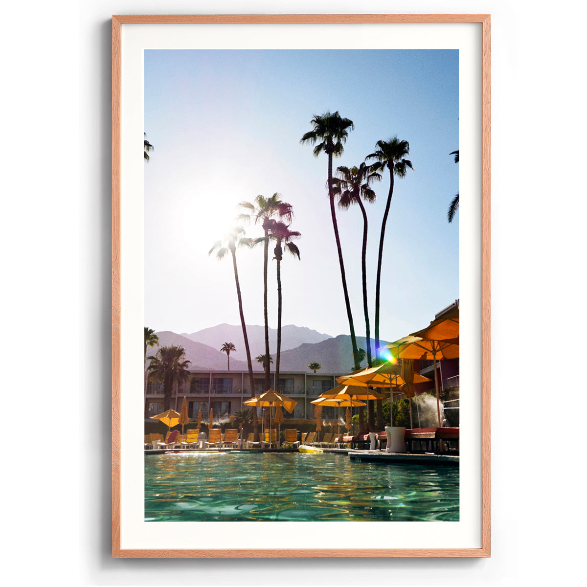 Palms and Pools