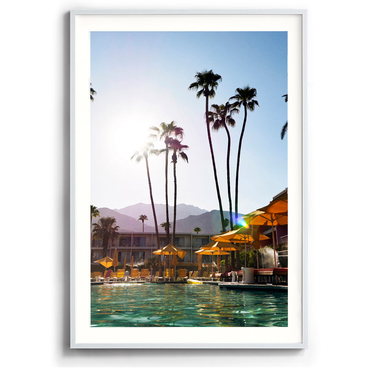 Palms and Pools