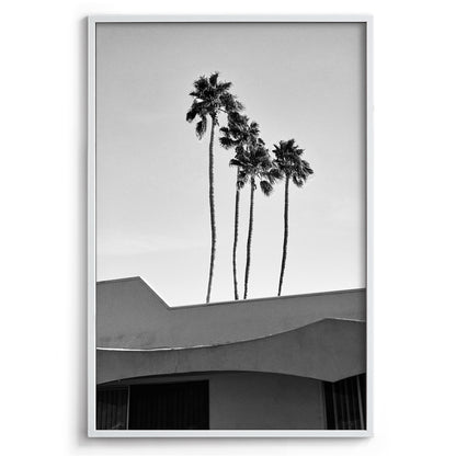 Palms