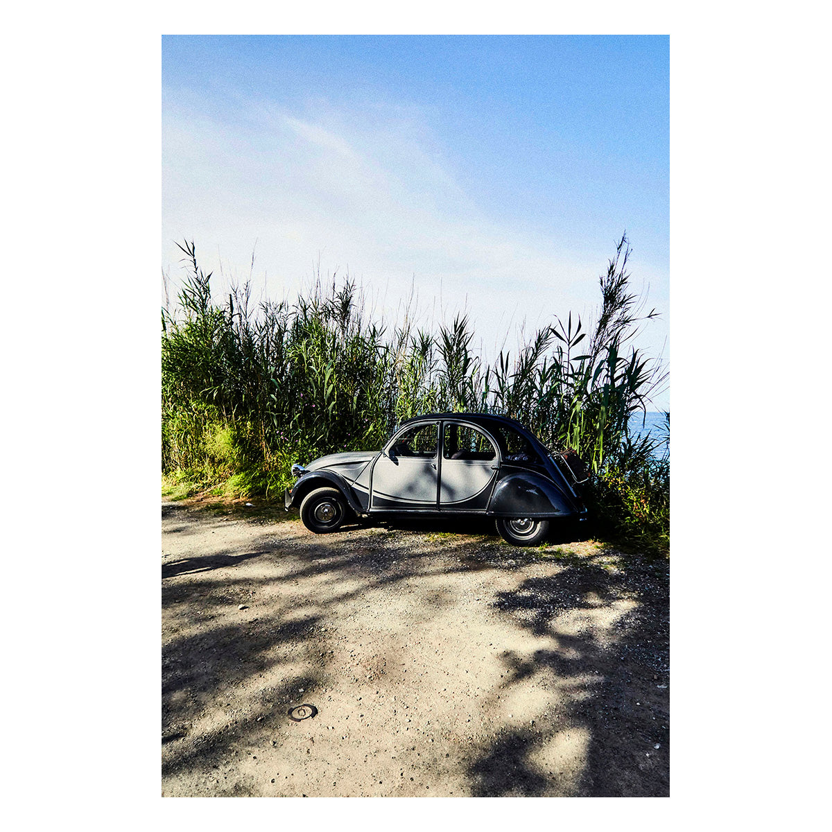 Citroen in the Grass