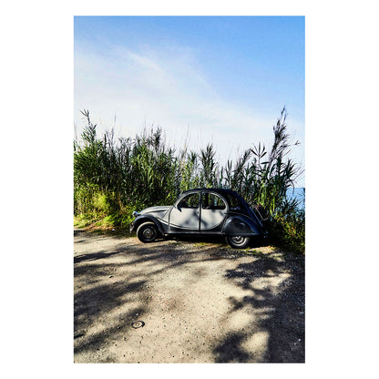 Citroen in the Grass