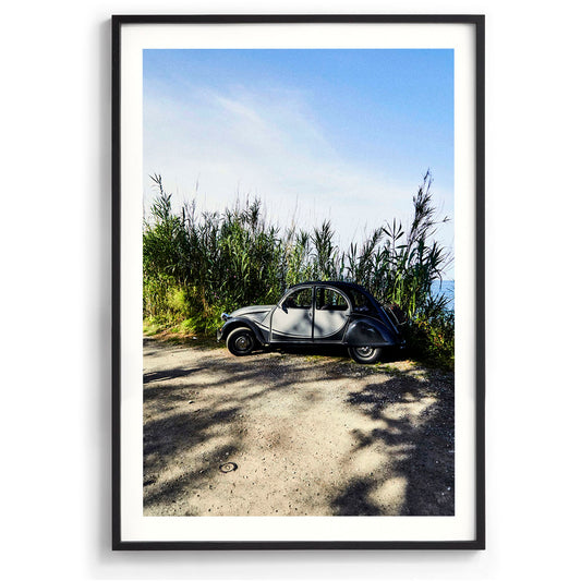 Citroen in the Grass