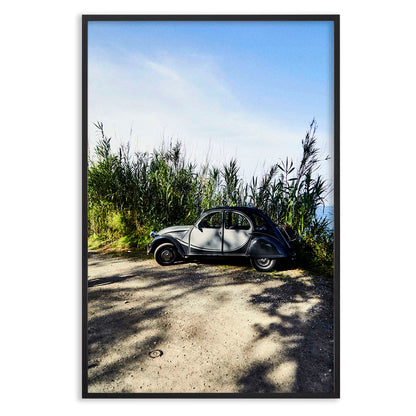 Citroen in the Grass
