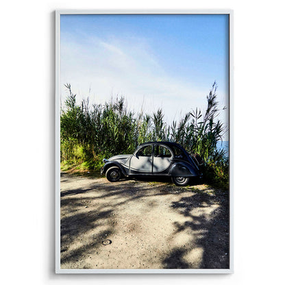Citroen in the Grass
