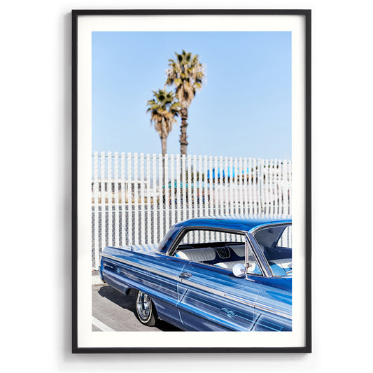 Palms and Pinstripes